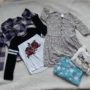 Girls 5t long sleeved shirt bundle (5 shirts!)